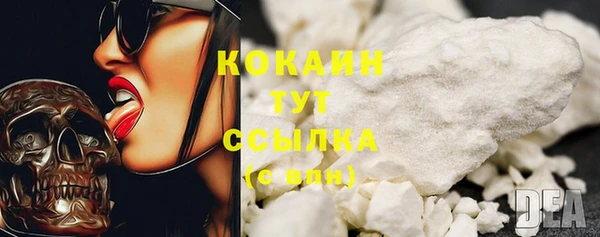 спайс Бородино