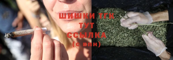 спайс Бородино