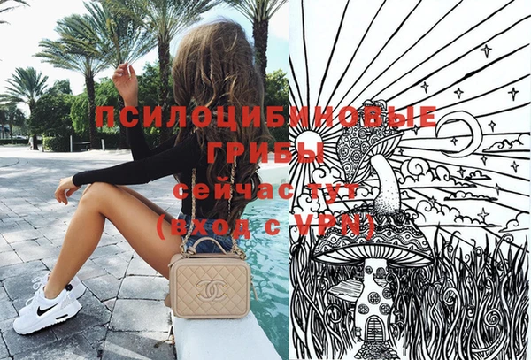 спайс Бородино