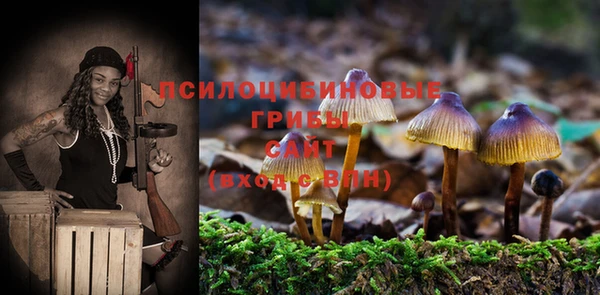 трава Бугульма