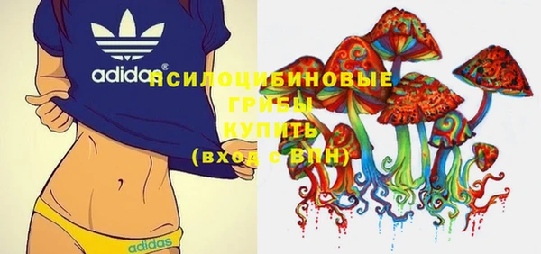спайс Бородино