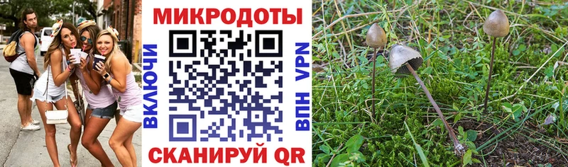 Купить где  Макушино  Псилоцибиновые грибы прущие грибы 